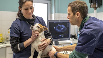 Veterinary Clinic Of Genet, Clinique Vétérinaire à La Rochelle