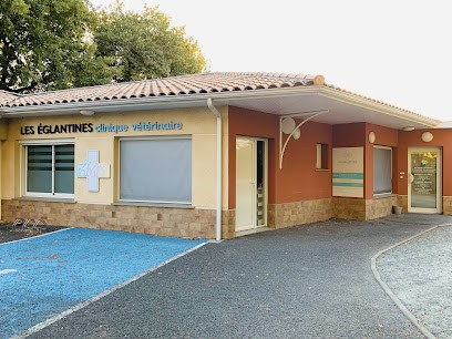 SCP The Veterinary Eglantines, Clinique Vétérinaire à Gradignan