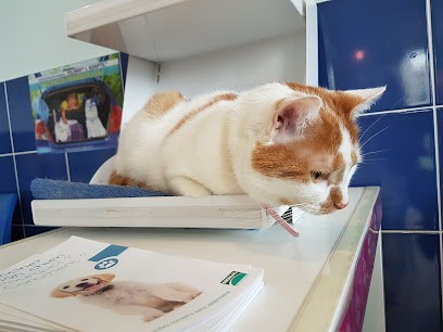 Clinique Vétérinaire De Gaulle, Clinique Vétérinaire à Neuilly-sur-Marne