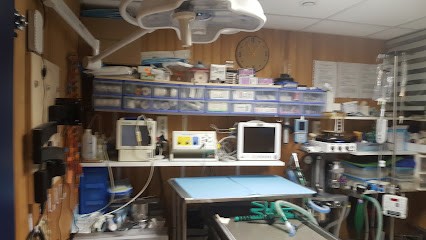 Pisarski Jean-Pierre, Clinique Vétérinaire à Villeparisis