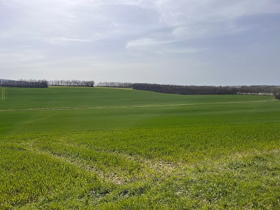 Cabinet Vétérinaire Santer'Vet Montdidier, Clinique Vétérinaire à Montdidier