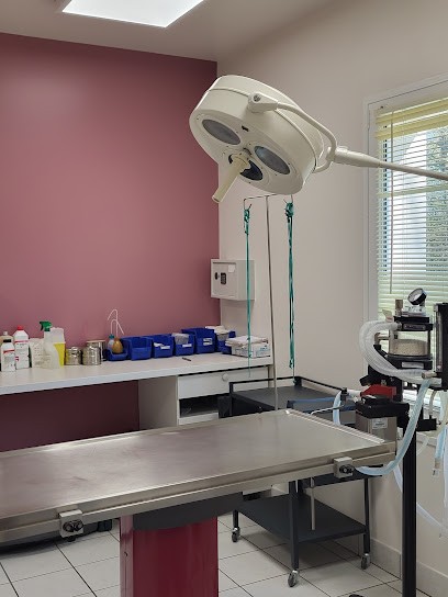Veterinarians Perrin Perrin-Combelles SCP-Liottin, Clinique Vétérinaire à Valençay