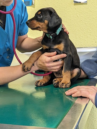 Cabinet Veterinaire Des Trois Valets, Clinique Vétérinaire à Mussidan