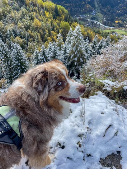 Cabinet Veterinaire De Bourg D'Oisans, Clinique Vétérinaire au Bourg-d'Oisans