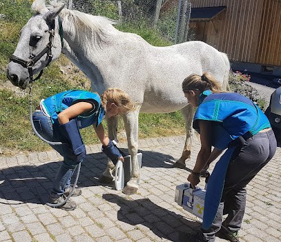 Vet'Equine - Vétérinaires équins à Domicile (Annexe), Clinique Vétérinaire à Feigères