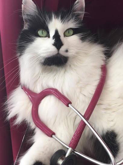 Veterinary Clinic Pascaud Lambert, Clinique Vétérinaire à Sénas