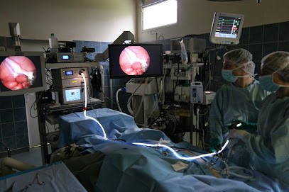 Veterinary Clinic Vet'Arenes, Clinique Vétérinaire à Senlis