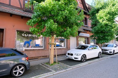 Vétérinaire Lauterbourg, Clinique Vétérinaire à Lauterbourg