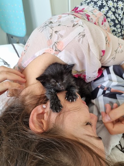 Venier Franck, Clinique Vétérinaire à Villepinte