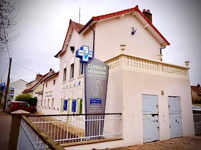 Clinique Vétérinaire De La Côte De Nuits, Clinique Vétérinaire à Nuits-Saint-Georges