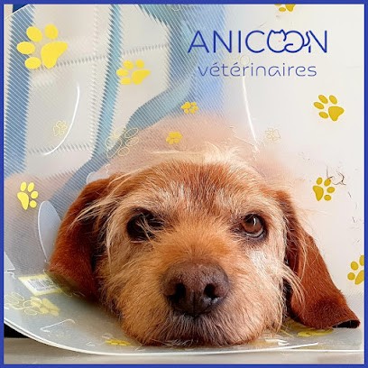 Veterinary Clinic Center, Clinique Vétérinaire à Ploemeur
