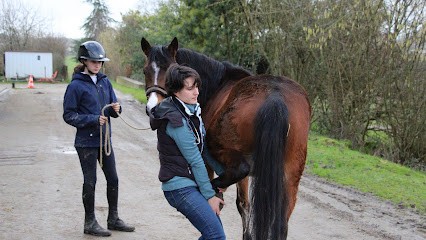 Epona Vet, Clinique Vétérinaire à Vignoc