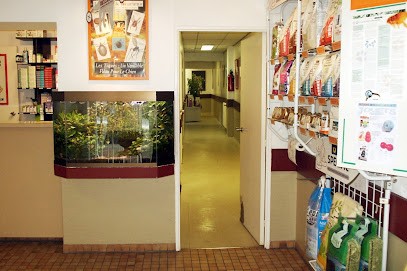 CLINIQUE VETERINAIRE - Docteur Olivier SASSOT, Clinique Vétérinaire à Fontenay-aux-Roses