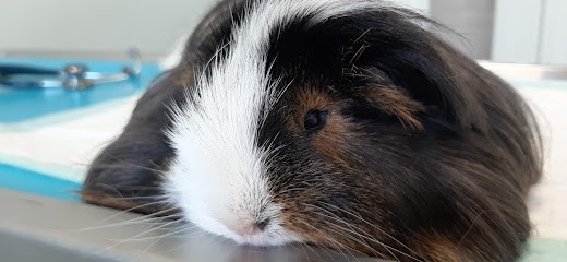 Clinique veterinaire de Poix Terron, Clinique Vétérinaire à Poix-Terron