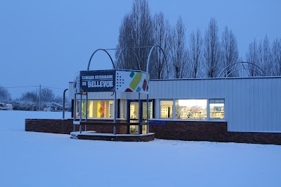 Bellevue Veterinary Clinic, Clinique Vétérinaire à Mamers