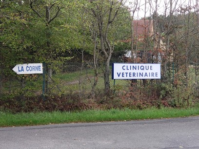 Clinique Vétérinaire Wyndaele, Clinique Vétérinaire à Lucenay-lès-Aix