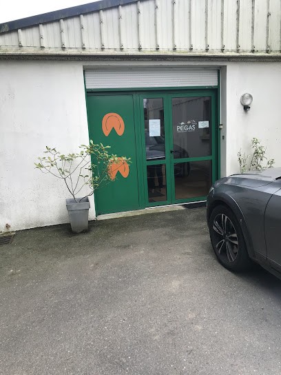 Cabinet Vétérinaire Equin Lemouland, Clinique Vétérinaire à Landivisiau