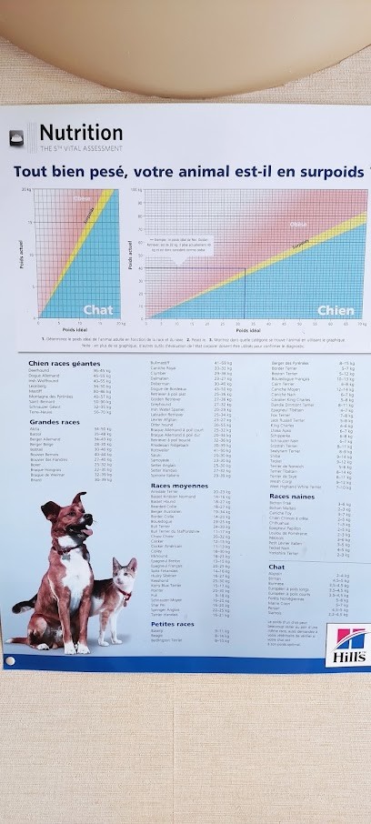 Cabinet Vétérinaire du Docteur Toulon, Clinique Vétérinaire à Rosny-sous-Bois