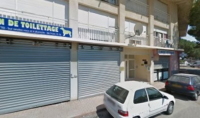 Santoni Armelle, Clinique Vétérinaire à Lucciana