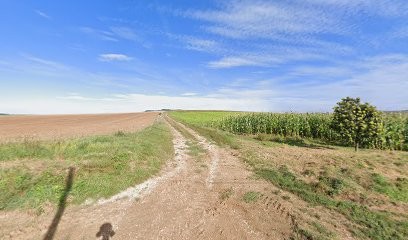 Georgens Christophe, Clinique Vétérinaire à Neuvy-Sautour