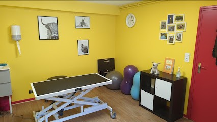 CaroVetOsteo, Clinique Vétérinaire à Saint-Flour