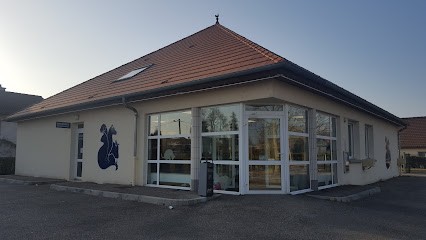 Clinique vétérinaire de la Tille Dr Behiels, Clinique Vétérinaire à Is-sur-Tille
