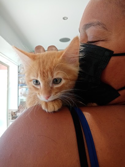 Veterinary Clinic Val d'Azur, Clinique Vétérinaire à Saint-Laurent-du-Var