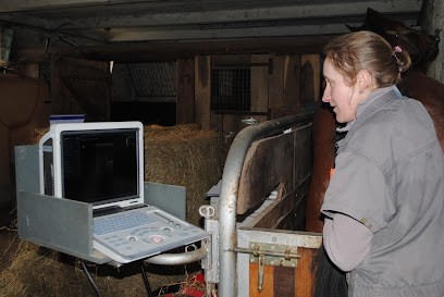 Equin.vet - Vétérinaires équins à Domicile, Clinique Vétérinaire à Mouen