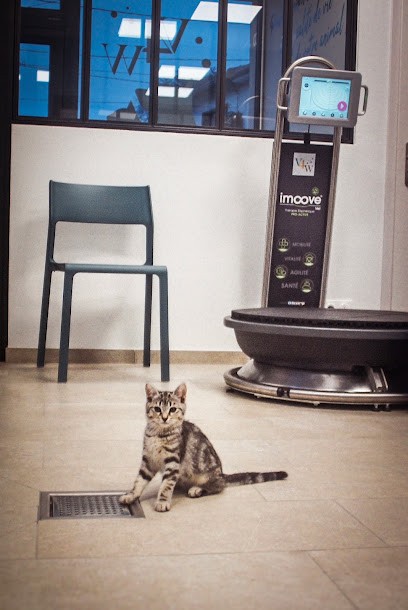 Vet4Wellness, Clinique Vétérinaire à Flavigny-sur-Moselle