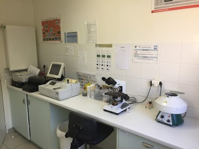 Clinique Vétérinaire de la Vilaine, Clinique Vétérinaire à Guipry-Messac