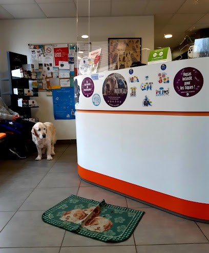 Veterinary Office Lassaux - Desguerre, Clinique Vétérinaire à Villers-sous-Saint-Leu