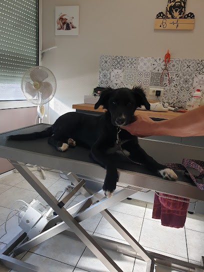 Clinique vétérinaire de l'Abbaye, Clinique Vétérinaire à Lisieux