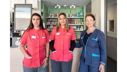 Clinique Vétérinaire Argos, Clinique Vétérinaire à Marseille 11