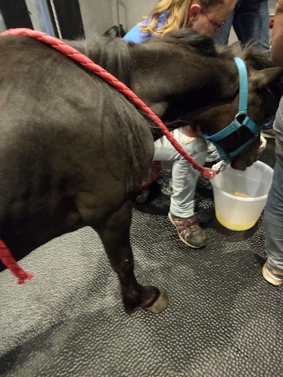 Clinique Équine des Bréviaires, Clinique Vétérinaire aux Bréviaires