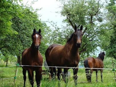 HIPPOVET 24, Clinique Vétérinaire à Saint-Pierre-de-Chignac