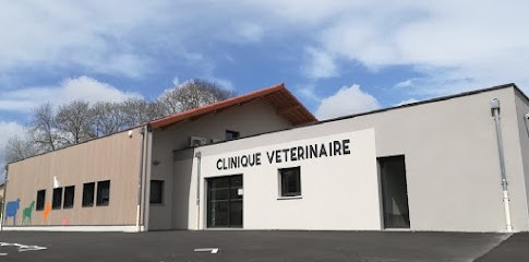 Clinique Vétérinaire Du Val De Rhins, Clinique Vétérinaire à Saint-Jean-la-Bussière