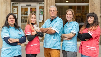 Veterinary Clinic Gros Caillou, Clinique Vétérinaire à Lyon 04