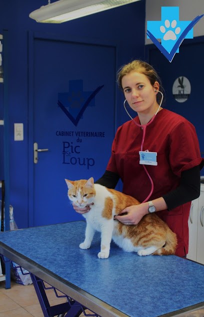 Dr Vétérinaire Raquin Elise, Clinique Vétérinaire à Saint-Mathieu-de-Tréviers