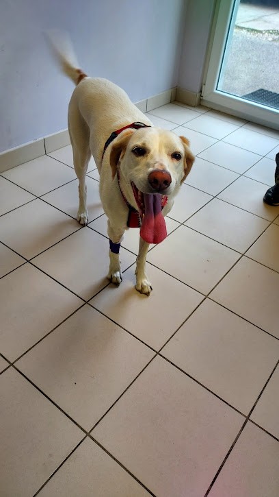 Clinique Veterinaire Du Chien Assis, Clinique Vétérinaire à Voujeaucourt