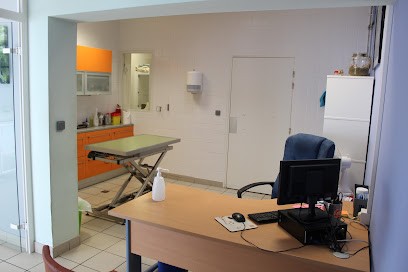Dispensary SPA Petit Quevilly, Clinique Vétérinaire au Petit-Quevilly