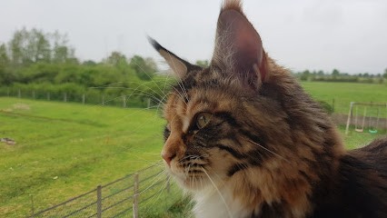 CLINIQUE VETERINAIRE LA BOLENE (Saint Bonnet Le Château), Clinique Vétérinaire à La Tourette