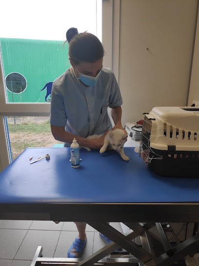 SEL Perret Van Parys CLINIQUE VETERINAIRE DES SAPINS, Clinique Vétérinaire à Thizy-les-Bourgs