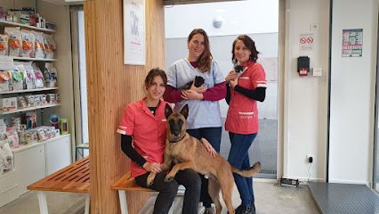 Clinique Vétérinaire Argos, Clinique Vétérinaire à Orvault