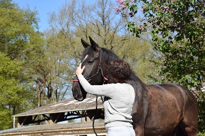 VETOSTEO78, Clinique Vétérinaire à Jouars-Pontchartrain
