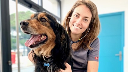Riviera Vet, Clinique Vétérinaire à Sainte-Maxime