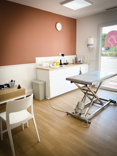 Clinique Vétérinaire Léonis Saint Laurent D'Aigouze, Clinique Vétérinaire à Saint-Laurent-d'Aigouze