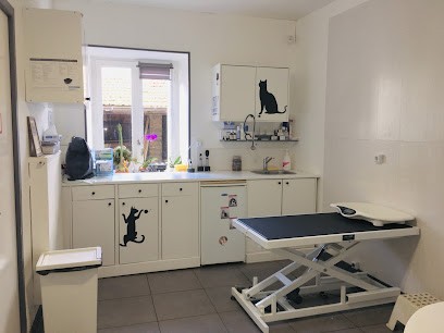 Cabinet veterinaire De Sousa Grange, Clinique Vétérinaire à Essertines-en-Donzy