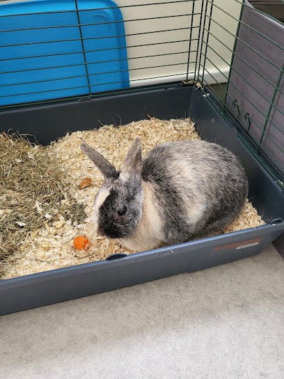 Ducroux Christophe, Clinique Vétérinaire à Montreuil