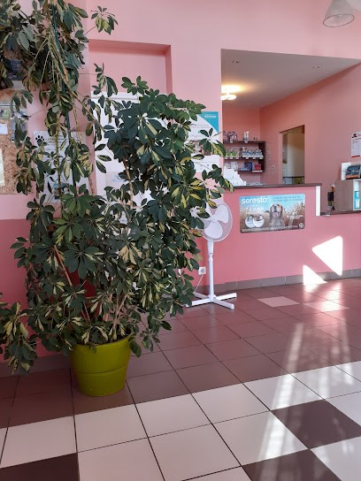Lacaussade Chrystelle, Clinique Vétérinaire à Neuville-de-Poitou