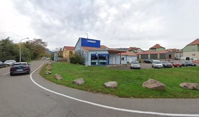 Paulus Marie-Pierre, Clinique Vétérinaire à Ribeauvillé